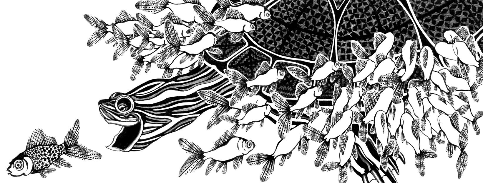 illustration